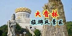 天天综合A级片中国浙江-绍兴大香林旅游风景区
